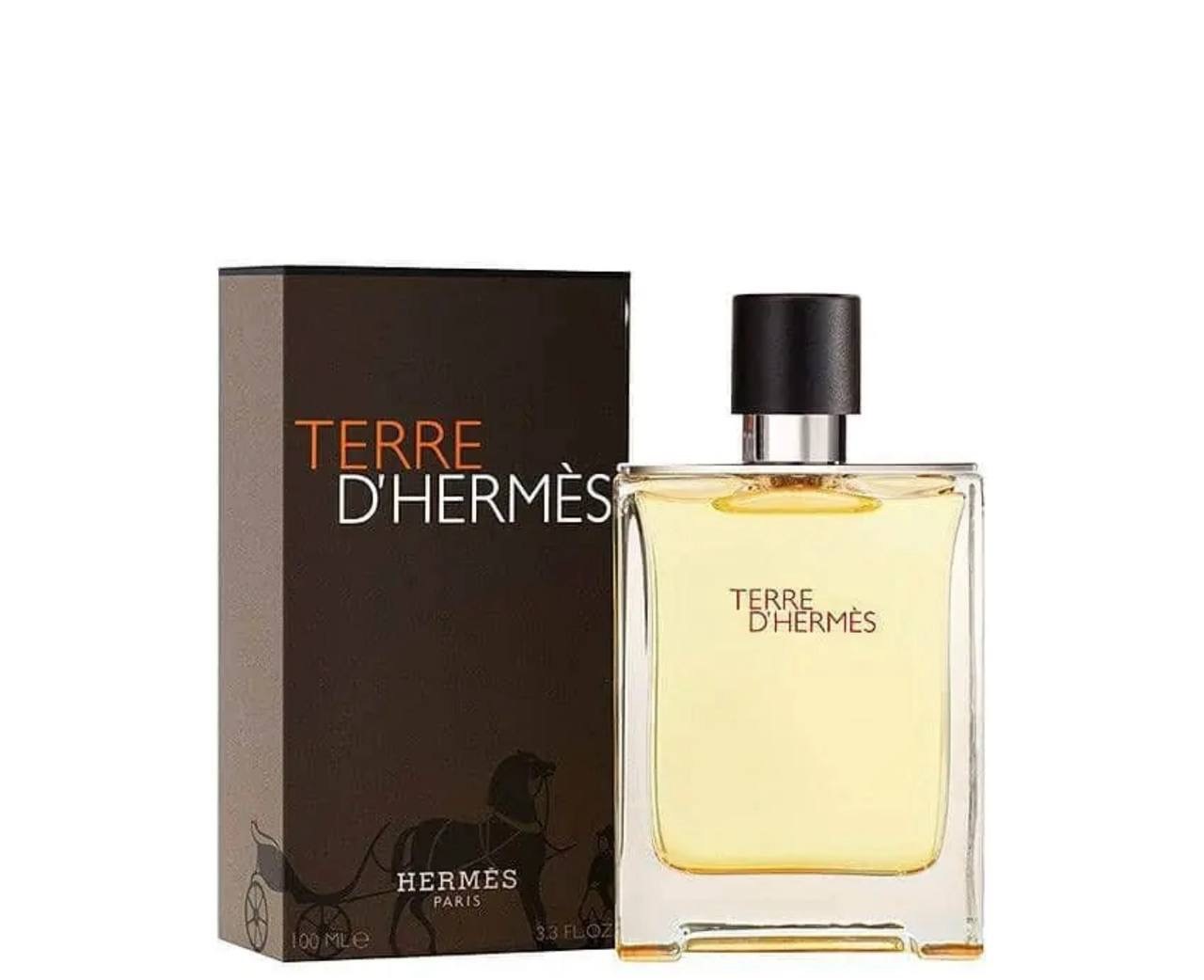 ادکلن هرمس تق هرمس | hermes terre d’hermes